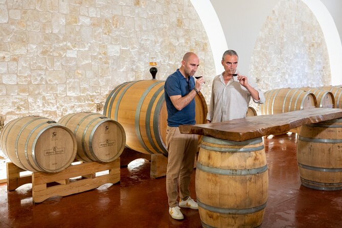 Wine and Food Pairing Experience at Alberobello Winery - Exploring the Details of the Alberobello Wine and Food Experience