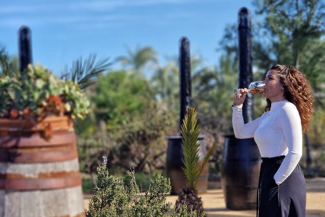 Wine and Tapas Tasting Tour from Alicante, Private Van - Exploring the Itinerary: A Detailed Look