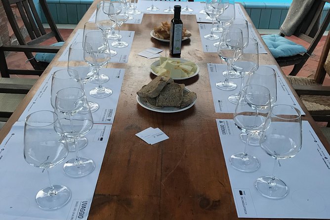 Wine tasting in Pisa with sommelier – The great wines of Tuscany