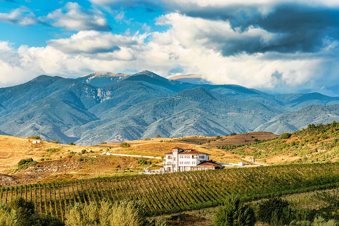Wine Tasting & More in Villa Melnik  One of the Worlds Best Wineries