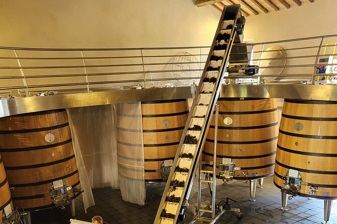 Wine Tasting Tour at Châteauneuf du Pape - What Travelers Are Saying