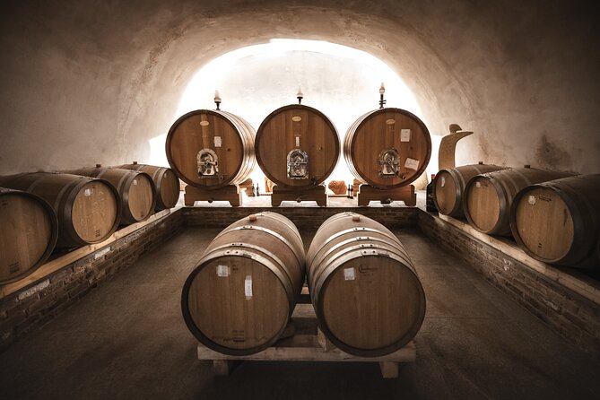 Wine Tour and tasting in the Monferrato – Premium