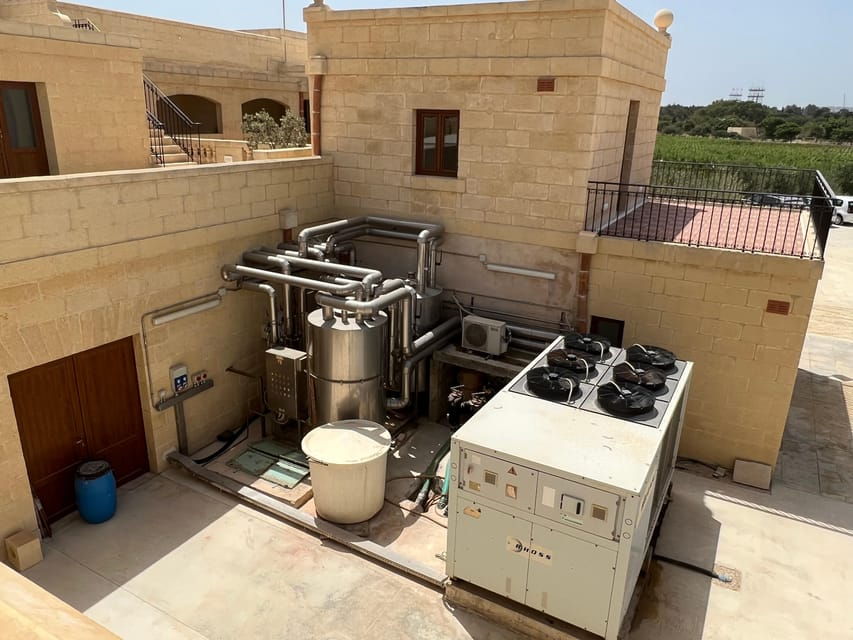 Wine with Maltese Grapes TOUR IN PORTUGUESE - The Wines and Tasting Experience