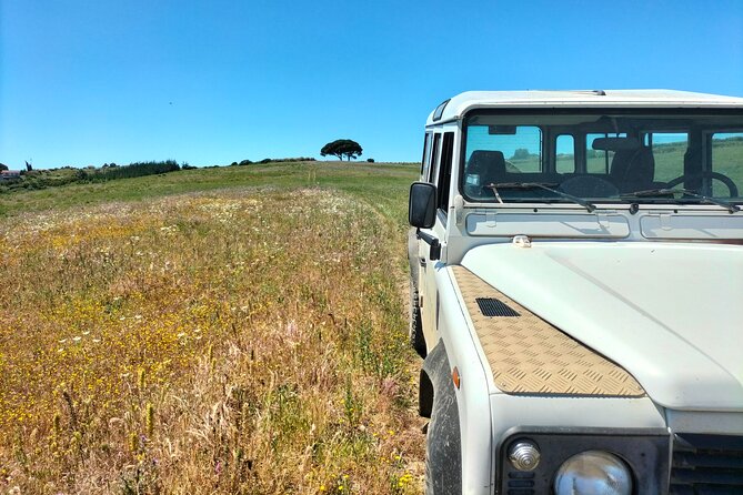 Winery, Tastings & 4WD Vineyards Ride, Half Day Trip from Lisbon - The Authenticity and Value of the Experience