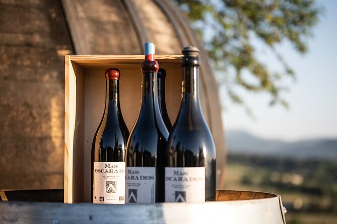 Winery visit / tasting in the vineyards, Mas des Escarades - Exploring the Experience at Mas des Escarades