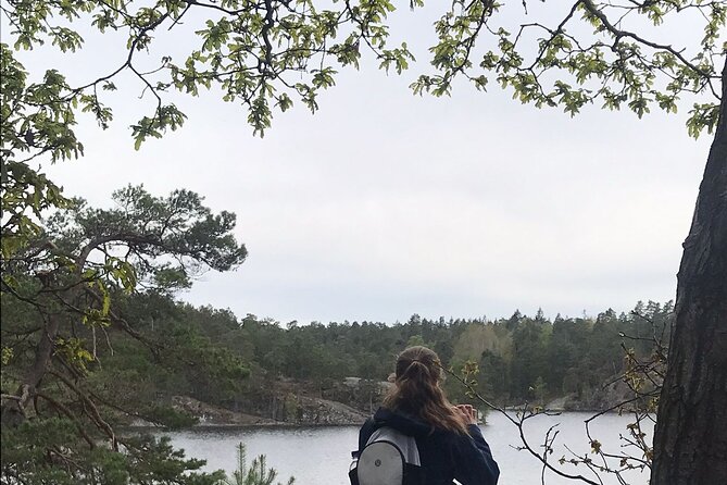 Wolf and Wildlife Tracking in Sweden - Good To Know