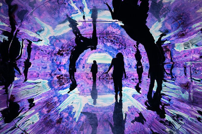 Wonderspaces Arizona Admission - Practical Tips for Visiting Wonderspaces Arizona
