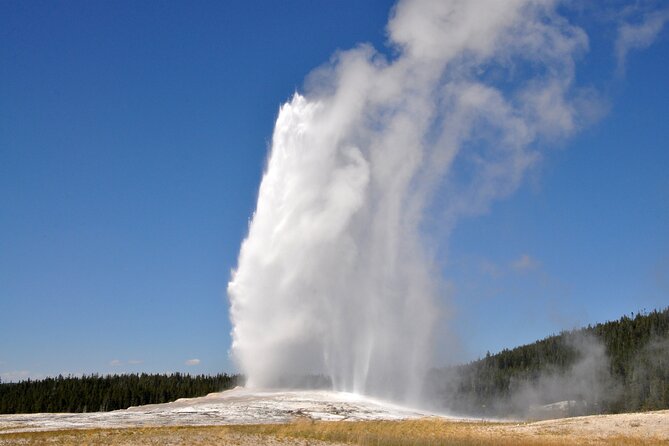 Yellowstone National Park Private Guided Tour – Full Day