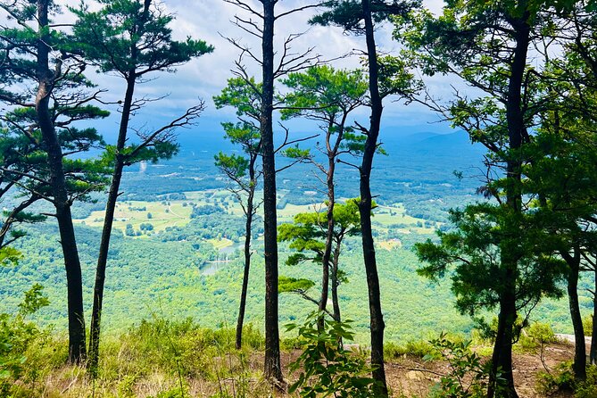 Yonah Mountain Hike Private Tour in Georgia - Getting to Know the Yonah Mountain Hike Tour