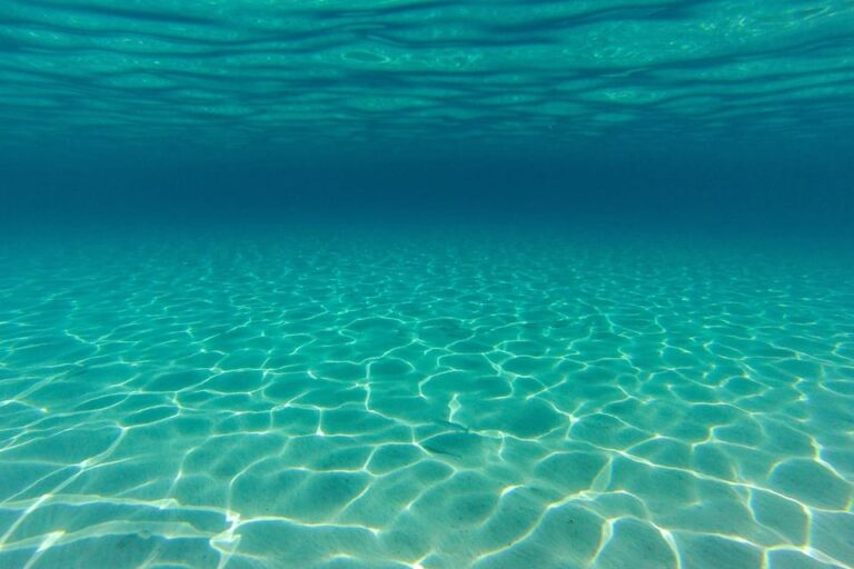 Zadar: 3 islands-3 stops, swimming and snorkeling drink incl