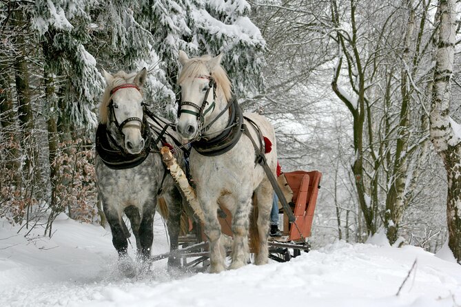 Zakopane Horse-Drawn Rides with Local Guide and Food Tasting - An In-Depth Look at the Zakopane Horse-Drawn Rides Experience