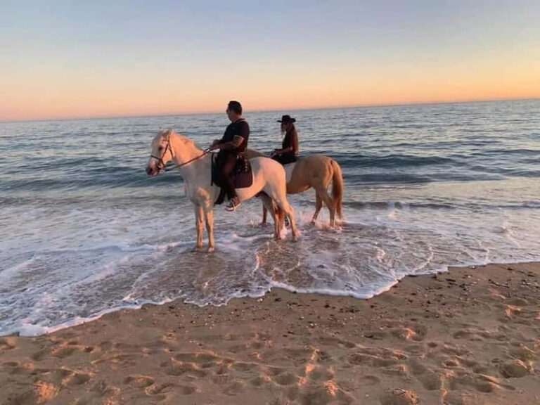 Zakynthos: Yotomu Horseback Riding Tour