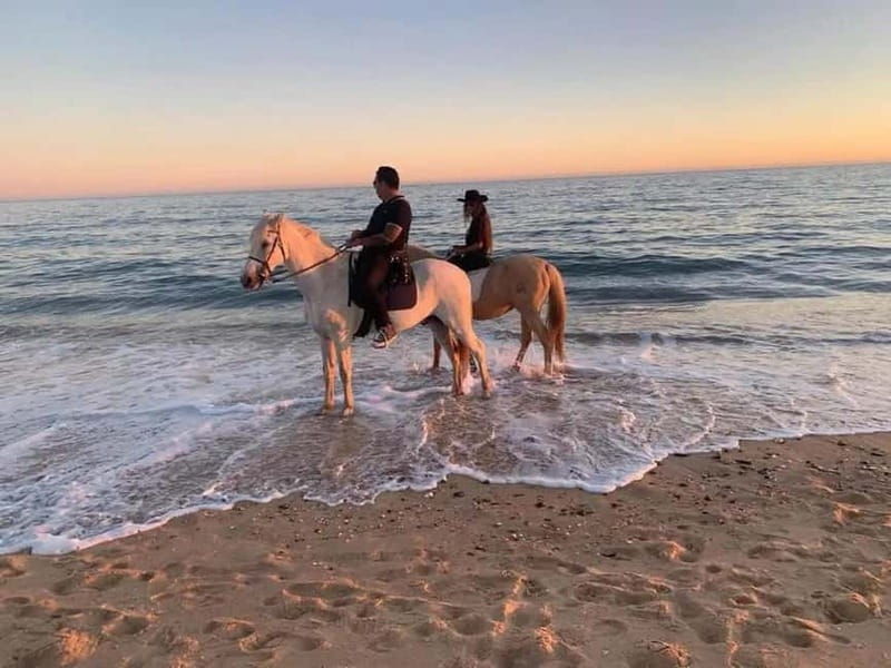 Zakynthos: Yotomu Horseback Riding Tour - An In-Depth Look at the Yotomu Horseback Riding Tour