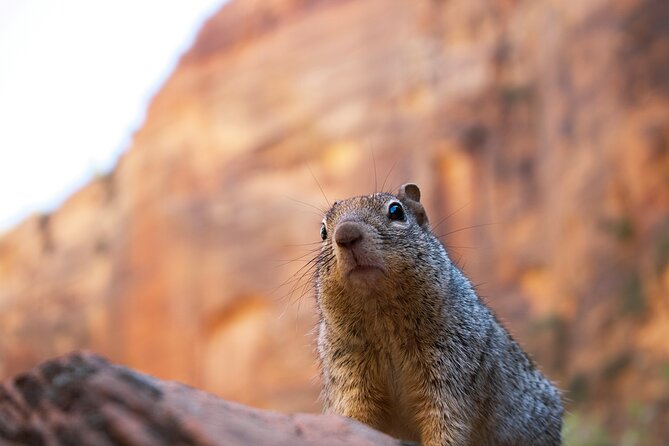 2 Days Zion and Bruce Canyon Tour with Hiking - Exploring the 2 Days Zion and Bryce Canyon Tour with Hiking