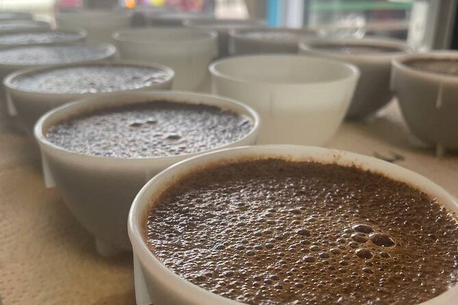 2-Hour Specialty Coffee tasting in Ljubljana - Good To Know  