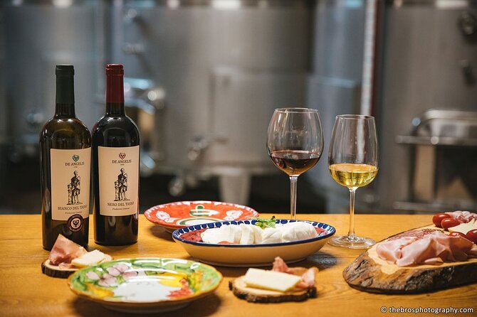 2-hour tasting of 5 wines in Sorrento - Good To Know
