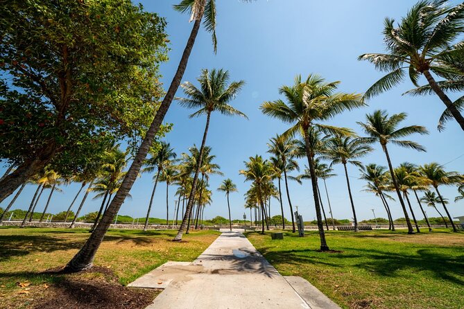 2 Hours Private Walking Tour in Miami Beach - Discover Miami in a New Light: A 2-Hour Private Walking Tour Review