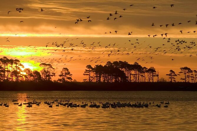 2-Hour Sunset Pontoon Boat Rental in Chincoteague Island, VA - Cost and Value Analysis