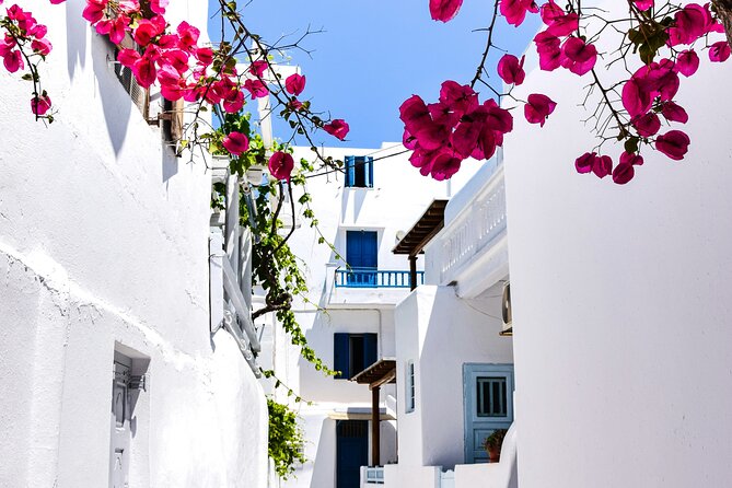 2 Hours Feel Like A Local Walking Tour in Mykonos Town - Who Should Book This Tour?