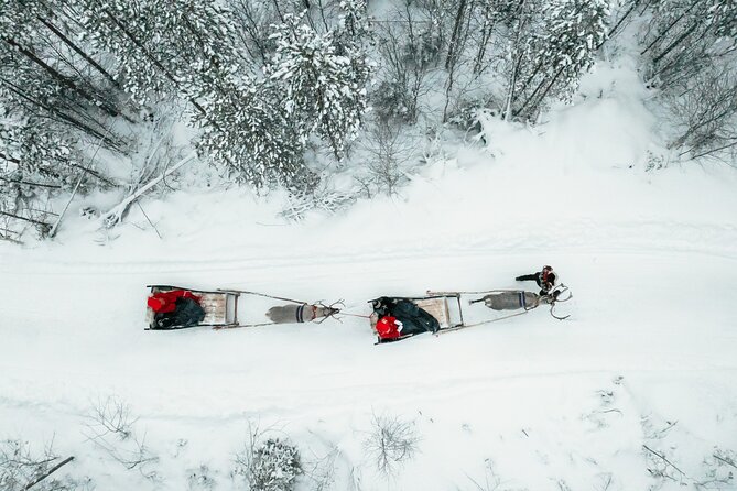 2km Sleigh Ride & Feeding Experience at Traditional Reindeer Farm - Why This Tour Offers Great Value