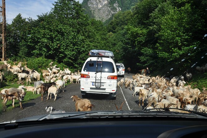 3-Day Svaneti Hiking Tour - An Overview of the Experience