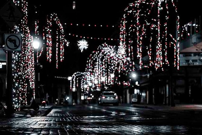 3 hour Enchanted River Lights Night Walk San Antonio Texas - Details on the Experience: What You Need to Know