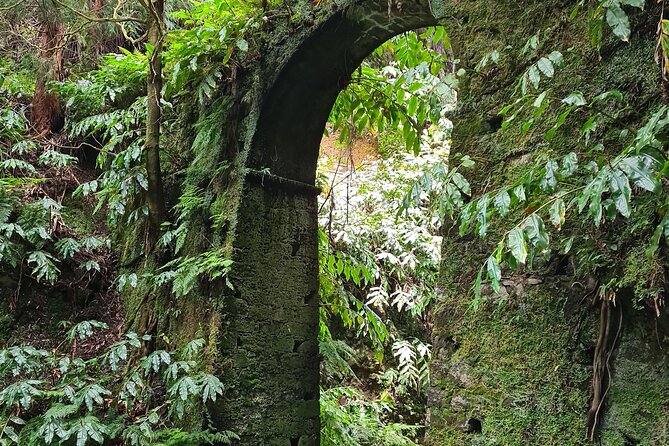 3 Hours Guided Forest Bathing Hike in Portugal - Final Thoughts