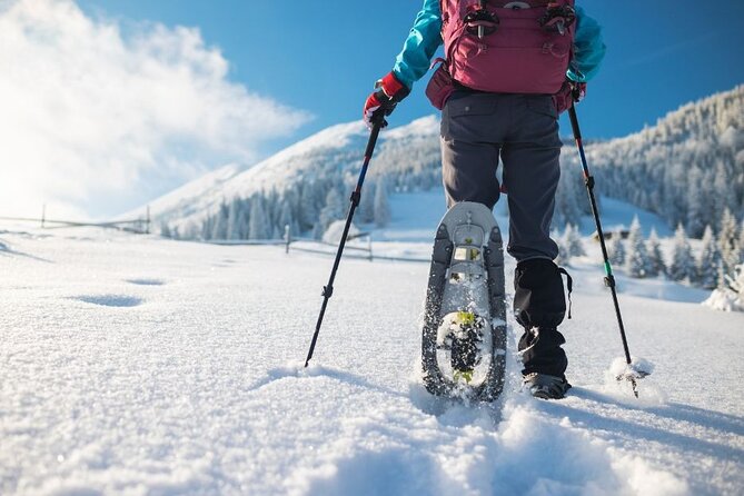3 Hours of Snowshoeing with Alpine Guide in Val Brembana - Final Thoughts: Is This Tour Worth It?