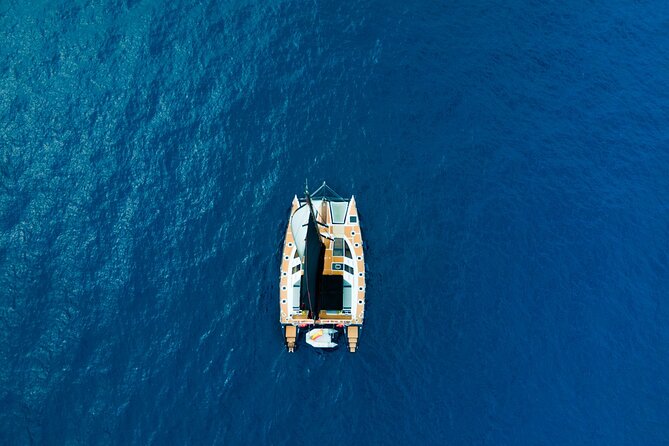 3 hrs. Whale Watching and Relaxing Chill Out Catamaran with glass floor - The Experience: What to Expect on Your Whale Watching Cruise
