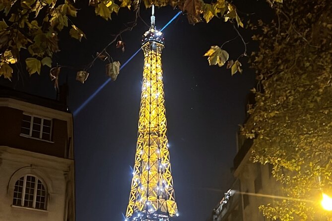 3H Champagne Tour Through Paris by Night in a Pink Citroën 2CV - The Experience from Review Insights