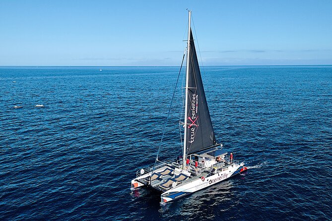 5 hrs. Watching and listening whales and dolphins visiting Los Gigantes - Authentic Feedback from Travelers