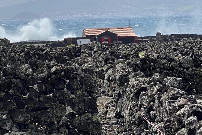 500 years of vines and 300,000 years of island, an infinite story - The Practical Side