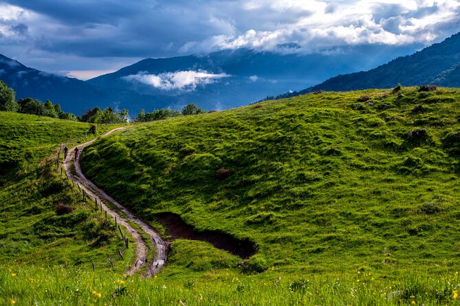 8-Day Private Mountain Bike Tour from Arnoldstein to Piran - Practical Details & Value