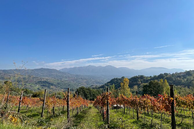 A day trip from Naples: Irpinia a Land of History & Wine - Exploring the Itinerary in Detail