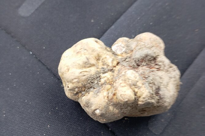 Alba Truffle Hunting, Barolo and Barbaresco Tasting - Final Thoughts