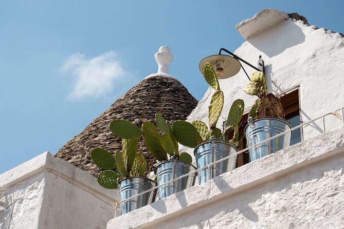Alberobello: 2-hour Walking Tour - Group or Private - Final Thoughts