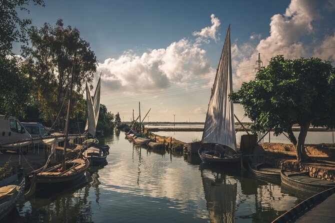 Albufera Natural Park with a Boat Tour from Valencia - The Highlights: Scenic Views, Wildlife, and Sunset Magic