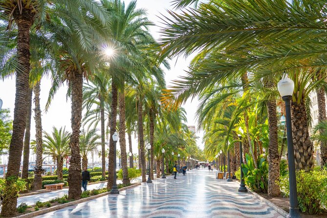 Alicante Semi-Private Tour: City, Castle, Market & Tapas Walk - Who Will Love This Tour?