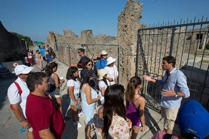 Amalfi Coast to Naples Transfer and 2-Hour Pompeii Private Tour - Detailed Breakdown of the Itinerary