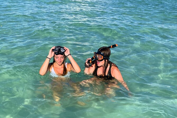 Anna Maria Island Private Sandbar Island Excursion - Who Would Love This Tour?