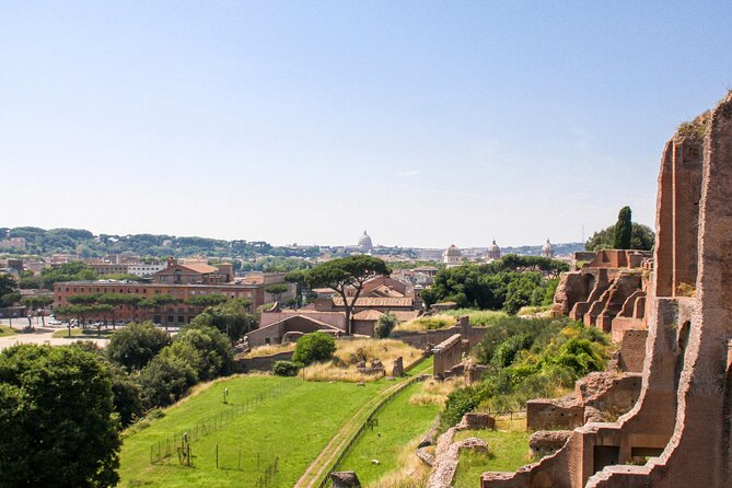 Archaeo Rome Guided Tour from the Roman Forum to Palatine Hill - Who Will Love This Tour?