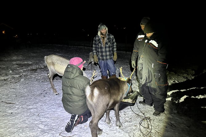 Arctic Adventure with Reindeer and Northern Lights Hunt 18:30 pm - Who Will Enjoy This Tour?
