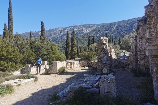Athens Sunset Hymettus Mountain Hike - Who Will Love This Tour?