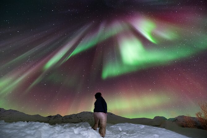 Aurora Hunt with Professional Photographer from Alta - What to Expect from the Tour