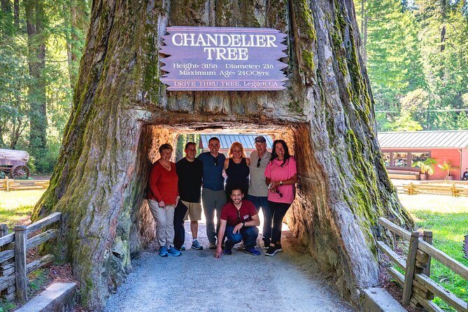 Avenue of the Giant Redwood Private 1 day Tour from San Francisco - Exploring the Tour: A Deep Dive