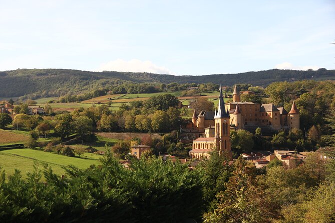 Beaujolais Wine Tour - Tastings & Gourmet Picnic Lunch - Practical Tips for Booking