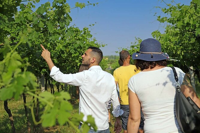 Biodynamic Farm and Natural Wines Tasting in Lazise - Practical Details