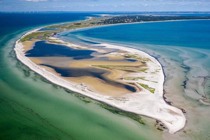 Bird Watching Private Tour in Copenhagen - Why This Tour Is Worth It