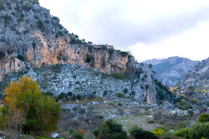 Birdwatching in Ronda and Grazalema - Important Highlights and What You Can Expect
