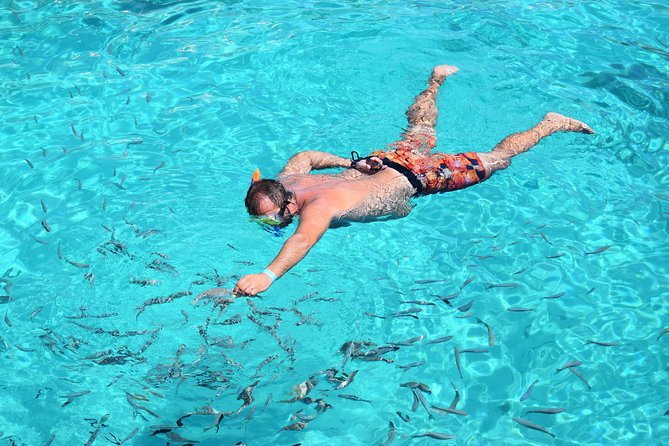 Blue Lagoon, Beaches and Bays Catamaran Sailing Tour - Who Is This Tour Best For?